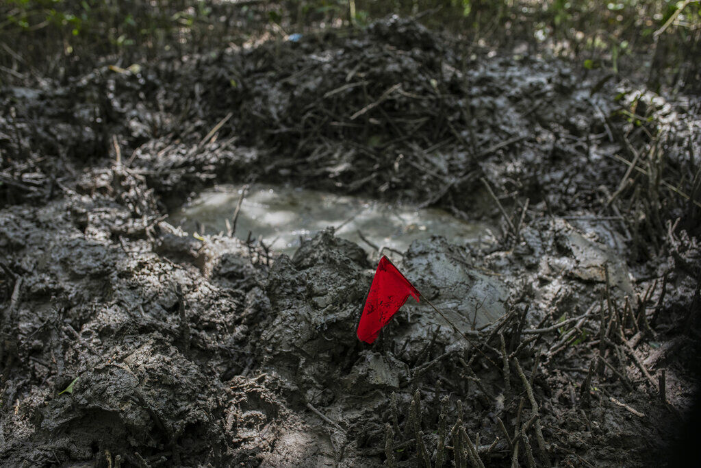 APTOPIX Mexico Clandestine Graves